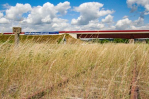 Laurent Charlier Laurent Charlier