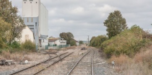 Laurent Charlier Laurent Charlier