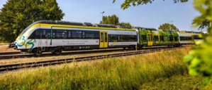 Bombardier Bombardier