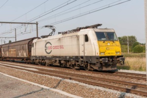 Laurent Charlier Laurent Charlier