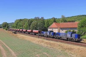 Christophe Masse Christophe Masse