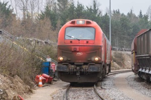 Photo : Laurent Charlier Photo : Laurent Charlier