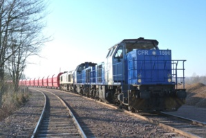 Dominique Robin Dominique Robin