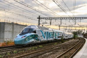 Christophe Masse Christophe Masse