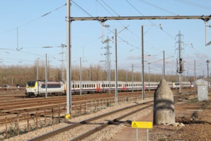 Timothée Roux Timothée Roux