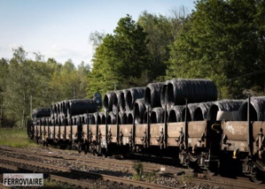 Laurent Charlier Laurent Charlier