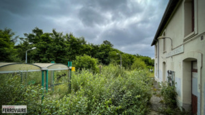 Laurent Charlier Laurent Charlier