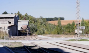 Laurent Charlier Laurent Charlier