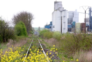 Laurent Charlier Laurent Charlier