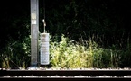 À lire dans La Lettre ferroviaire 373